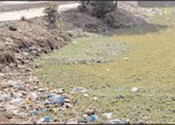 तलावातील गाळ काढण्याची नागरीकांची मागणी