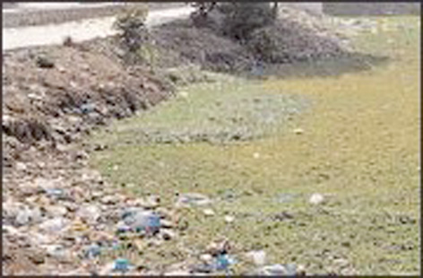 तलावातील गाळ काढण्याची नागरीकांची मागणी