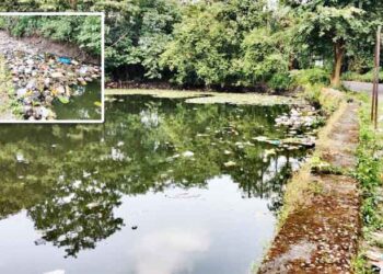 उरणमधील तलावे बनली कचराकुंड्या