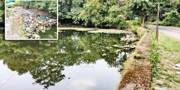 उरणमधील तलावे बनली कचराकुंड्या