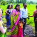 वन विभागातर्फे वन्यजीव सप्ताह