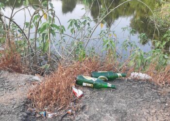 आपटा तलावाला अड्ड्याचे स्वरुप