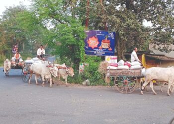 शेतीकामासाठी बैलगाडीचे मोलाचे योगदान