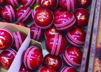 मोराबीनचे कुकाबूरा आणि हॅरी व डेव्हिड!