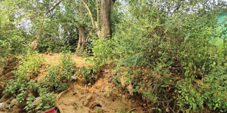 चोळेटेप टेकडीवर पाण्याची टाकी नको