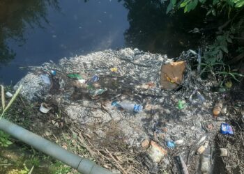 बाळगंगा नदीत हजारो मासे मृत्युमुखी