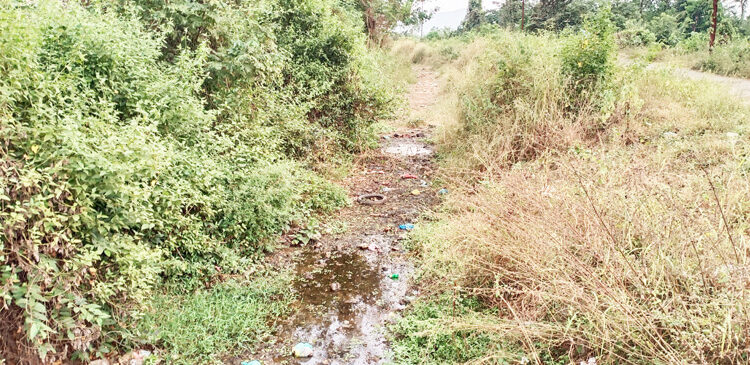 कालवा सफाईच्या कामाला मुहूर्त सापडेना