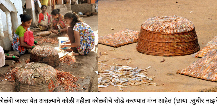 दिवाळी हंगामात मुरुड कोळीबांधव जोरात;30 लाखाची उलाढाल