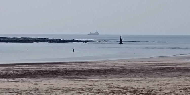 दिघी-आगरदांडा पोर्टसाठी अवैध उत्खनन