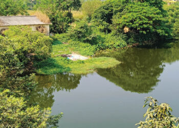 हटाळेश्‍वर तलावाचा श्‍वास गुदमरतोय;सांडपाण्यामुळे दुर्गंधी