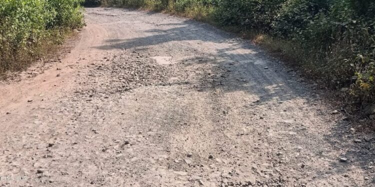 सलग पाच मीटर डांबरी रस्ता दाखवा अन् बक्षीस मिळवा