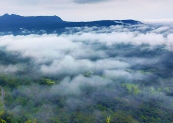 ताह्मिणी घाटात अवतरला स्वर्ग