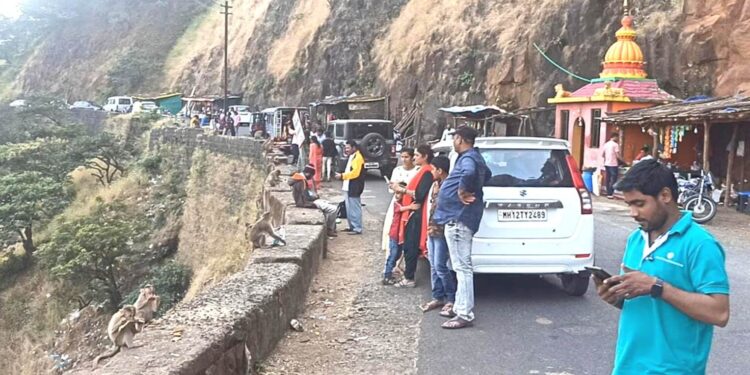 झोंबतो गारवा अन् उबदार सूर्यकिरणं