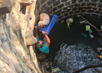 विहिरीत पडलेल्या कुत्र्याला जीवनदान