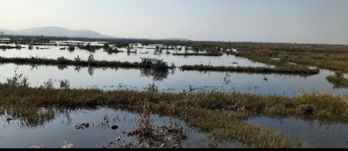 खोपटेमध्ये खाडीच्या बांधाला भगदाड