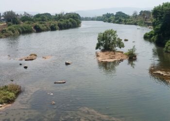 काळ, गोद, कुंडलिका नद्या झाल्या दुषित