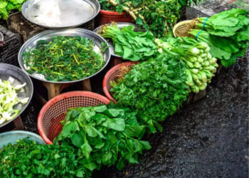 पावसामुळे पालेभाज्यांना महागाईची झळ