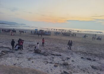 मुरूड भरणार आनंदमेळा; व्हेज, नॉनव्हेज मेजवानी; समुद्रकिनारी धमाल