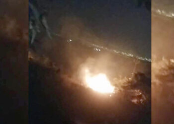 सततच्या आगींमुळे वनसंपदा, सजीव सृष्टीचे होतेय नुकसान