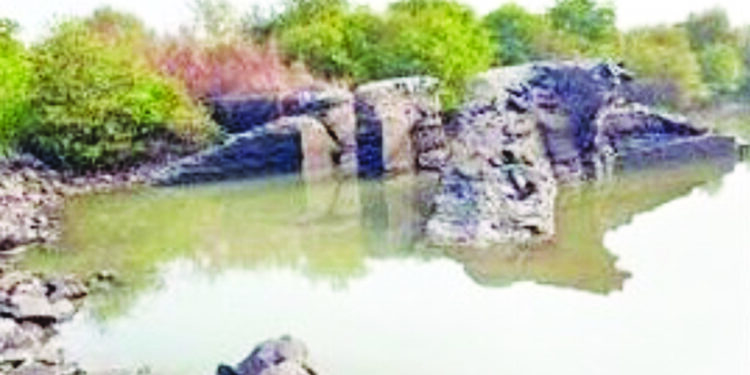 अखेर खारभूमी विभाग खडबडून जागे