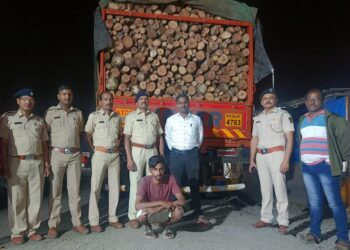 कोलाड नाक्यावर वनविभागाची धडक कारवाई