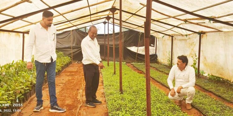 भाजीपाल्याला येणार सुगीचे दिवस