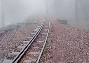 वातावरणातील बदलामुळे माथेरान कुल कुल