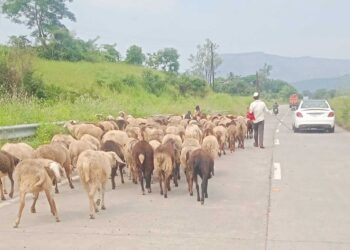 आज हितं तर उद्या तिथं…