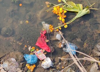 अंबा नदी सापडली प्रदूषणच्या विळख्यात