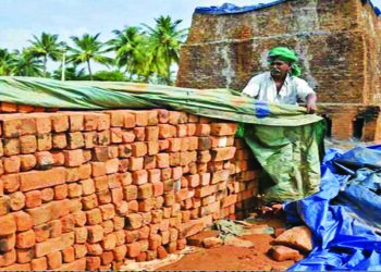 अवकाळीचा वाल,आंबा पीकाला फटका