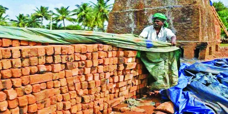 अवकाळीचा वाल,आंबा पीकाला फटका