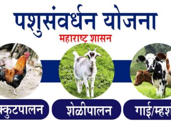 पशुधनासाठी शेतकर्‍यांना मिळणार अर्थसहाय्य