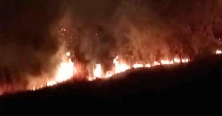 पुन्हा रामधरणेश्वर डोंगरावर अज्ञाताकडून आग