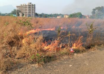 सुक्या गवताला आगी लावण्याचे प्रकार
