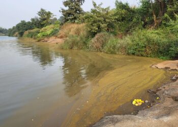 अंबा नदीत रसायनमिश्रित पाणी