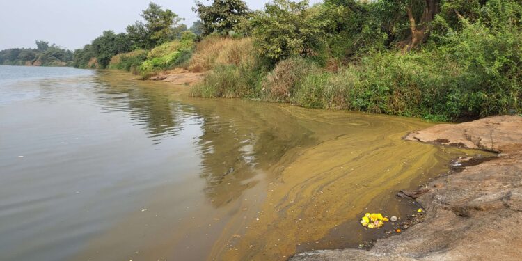 अंबा नदीत रसायनमिश्रित पाणी