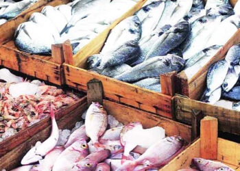 थर्टीफस्ट बेताने मांसाहार वधारला