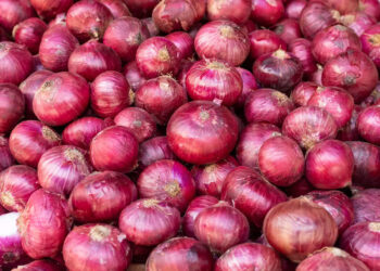 कांद्याचा भाव वधारला