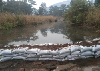 तालुक्यात ४९ वनराई बंधारे बांधले