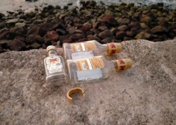 मुरूड खोराबंदर तळीरामांचा अड्डाच