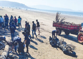 समुद्रकिनार्‍याची ‘मनसे’ स्वच्छता