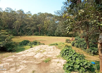 माथेरान शून्य कचरा डेपोचे पर्यटकांना आकर्षण