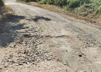 पाच्छापुर मार्गाची दुरवस्था