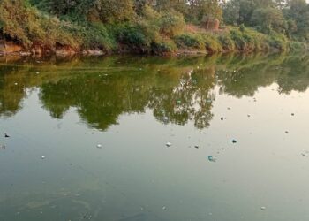 अंबा नदीत निर्माल्याचा खच