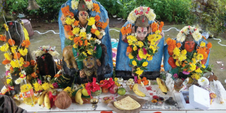 शेलूमध्ये आई भवानी देवीची यात्रा