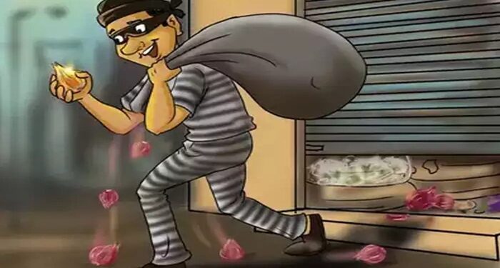 खारघर परिसरात भुरट्या चोरांचा सुळसुळाट