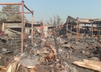 स्पिडी कंपनी जवळ अग्नीचे तांडव; दहा कटिंगी खाक