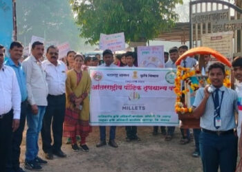 पौष्टिक तृणधान्य खा, निरोगी राहा