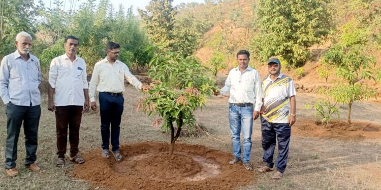 वनराई बंधार्‍याद्वारे बहरवली फळबाग