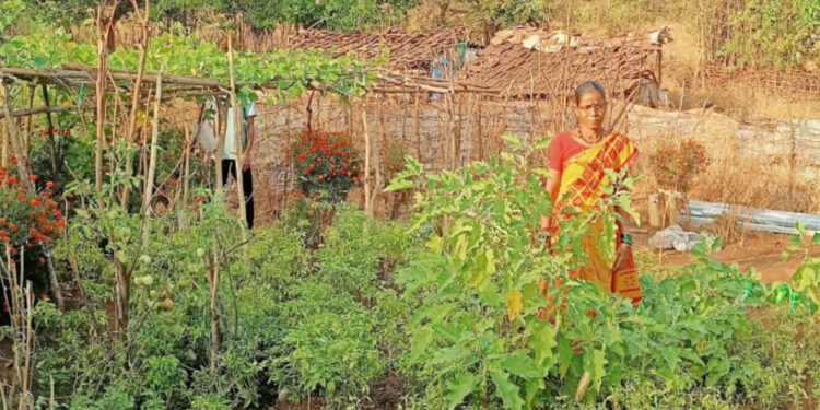 पाणीटंचाईवर मात करीत फुलविला मळा